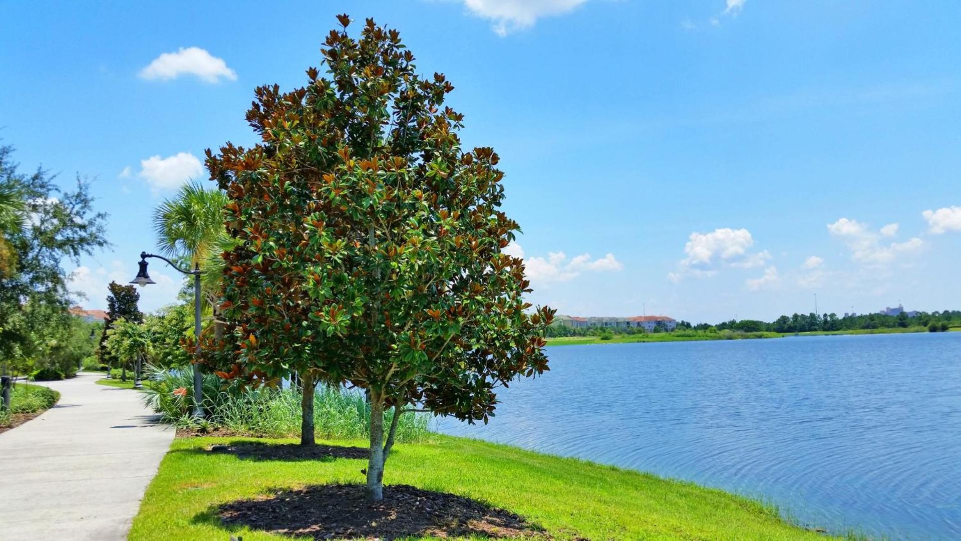 Resort Townhome: Perfect Orlando Vacation Spot Extérieur photo